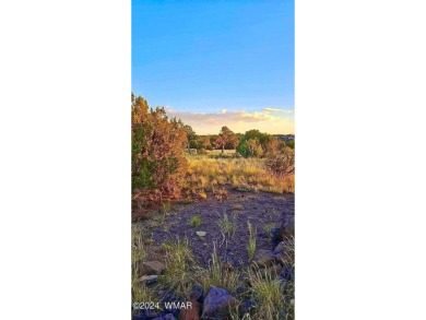 Lake Lot For Sale in Show Low, Arizona