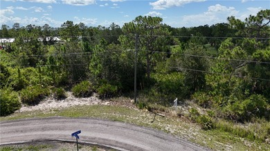 Lehigh Acres Area Lot For Sale in Lehigh Acres Florida