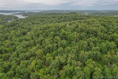7.24 Acres in English Gardens offering lake access via boat ramp - photo 21