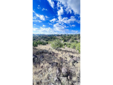 Lake Lot For Sale in Show Low, Arizona