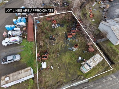 Opportunity awaits with this .21-acre industrial-zoned parcel - photo 5