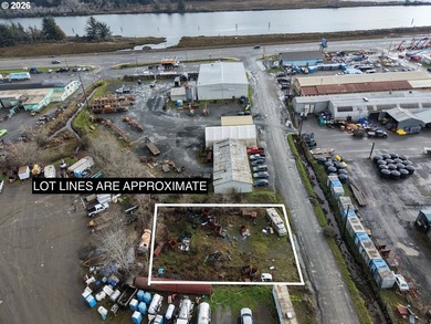 Opportunity awaits with this .21-acre industrial-zoned parcel - photo 6