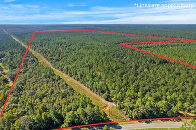 (private lake, pond, creek) Acreage For Sale in Walnut Hill Florida