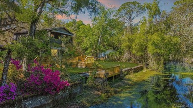 Tsala Apopka Chain of Lakes Home For Sale in Floral City Florida