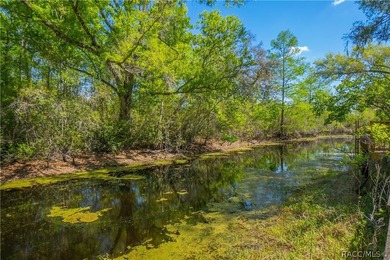 Back on market due to Buyers funds tied up!!! Discover a truly - photo 5