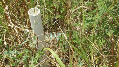 0.56 AC WITH STRETCHED MTN VIEWS - photo 2
