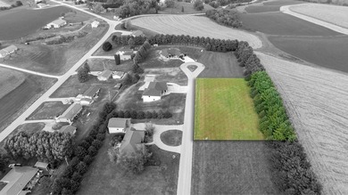 Mississippi River  - Clayton County Lot For Sale in Dubuque Iowa