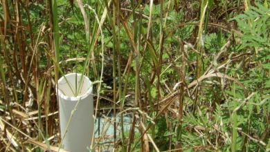 0.56 AC WITH STRETCHED MTN VIEWS - photo 3