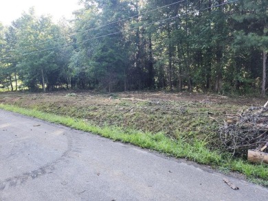 Lake Lot For Sale in Birchwood, Tennessee