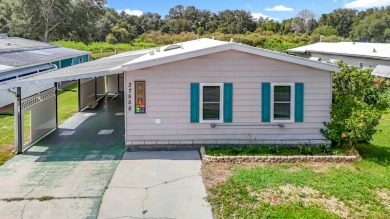 (private lake, pond, creek) Home For Sale in Zephyrhills Florida