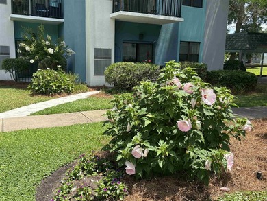 Covenant Towers is a 55 and older fantastic Retirement Community - photo 18