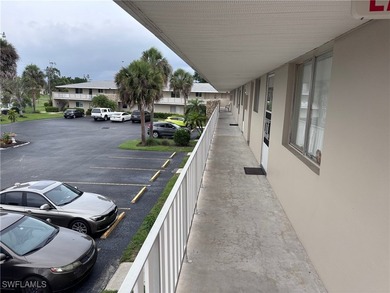 Charming Remodeled 2-Bed, 2-Bath Condo in 55+ Community - Lehigh - photo 3