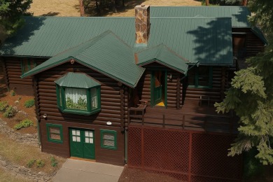 (private lake, pond, creek) Home For Sale in Thompson Falls Montana