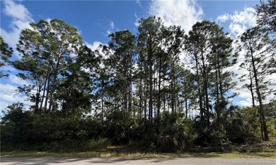 Build your Florida dream on this spacious 0.23-acre residential - photo 1