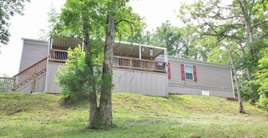 DOCK & LAKEVIEW! GOLF CART PATH & NO STEPS! RIDE A GOLF CART TO - Lake Home For Sale in Cub Run, Kentucky