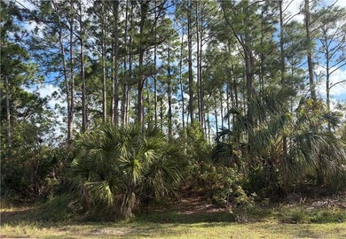 Build your Florida dream on this spacious 0.23-acre residential - photo 4