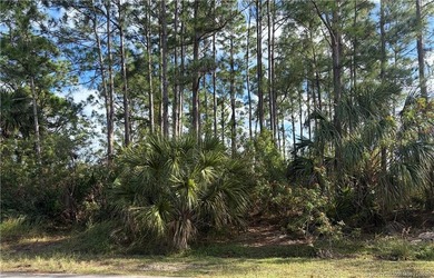 Build your Florida dream on this spacious 0.23-acre residential - photo 5