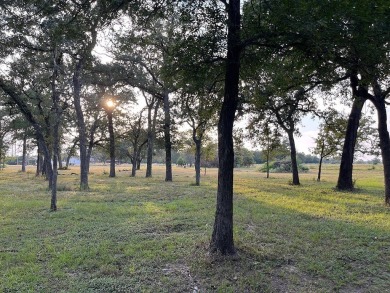 (private lake, pond, creek) Acreage For Sale in Somerville Texas