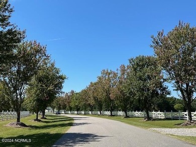 Nestle your new home in this easily affordable cul-de-sac lot - photo 11