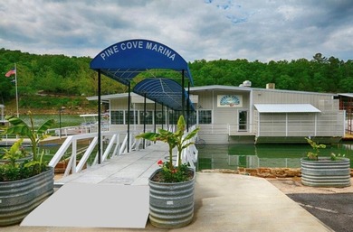 Welcome to your beautiful home located on Lake Tenkiller in - photo 17