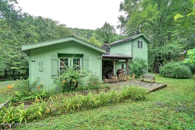 (private lake, pond, creek) Home For Sale in Phoenicia New York