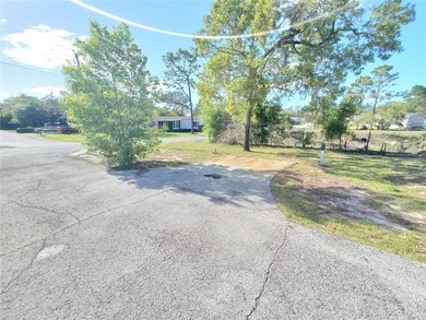 SPECIAL OPPORTUNITY TO BUY DOUBLE-WIDE MOBILE HOME IN THE - photo 44