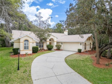 This charming 3-bedroom, 2-bath pool home with an oversized - photo 1