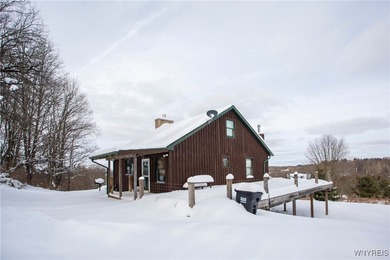 Lake Home For Sale in East Otto, New York