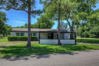 Lake Home For Sale in East Tawakoni, Texas