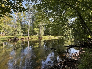 Big South Branch Pere Marquette River Acreage Sale Pending in Walkerville Michigan