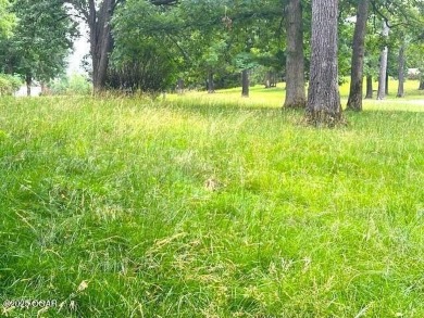 Lake Lot For Sale in Lampe, Missouri