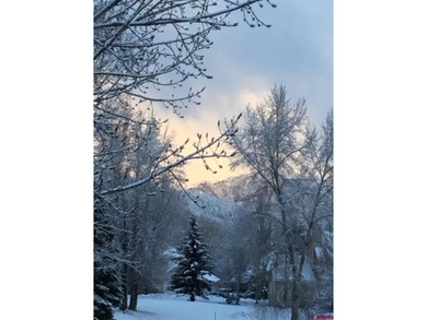 Matthew Arias, Keller Williams Realty Southwest Associates, LLC - photo 41