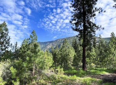 Lake Acreage For Sale in Plains, Montana