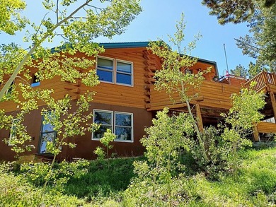 SELLER OFFERING CONCESSION TO COVER CLOSING COSTS OR BUY YOUR - photo 6
