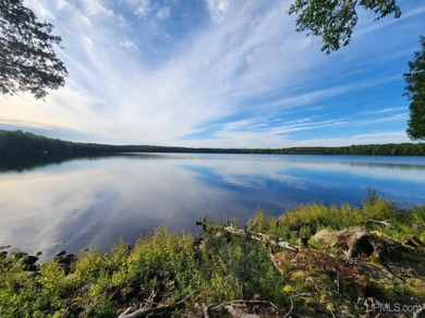 Wildwood Lake - Iron County Acreage For Sale in Iron River Michigan