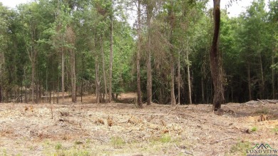 Cypress River - Harrison County Acreage For Sale in Jefferson Texas