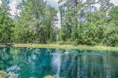 Welcome to your 5-acre Old Florida retreat! This 1 owner - photo 7