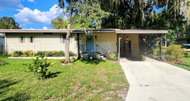 Lake Home For Sale in Leesburg, Florida