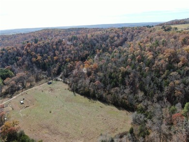 Welcome home to your Ozark oasis on the beautiful George's - photo 17