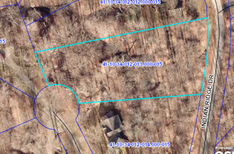 Lamb Lake Buildable Offshore Wooded Lot - Lake Lot For Sale in Trafalgar, Indiana