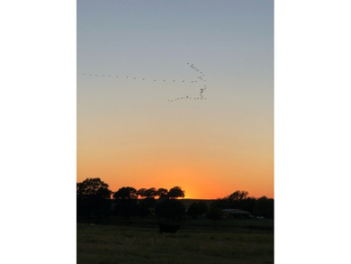 (private lake, pond, creek) Lot For Sale in Bennington Oklahoma