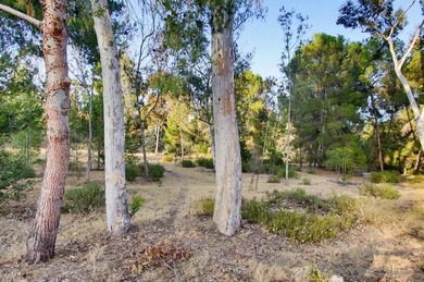 Welcome to your dream home in Tierrasanta, nestled along the - photo 48