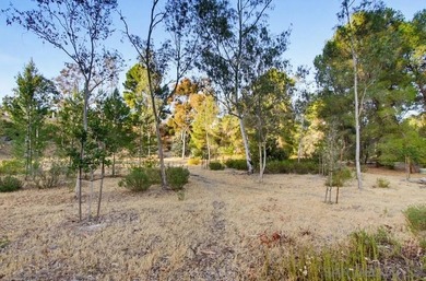 Welcome to your dream home in Tierrasanta, nestled along the - photo 49