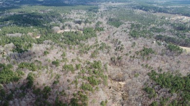 Strom Thurmond / Clarks Hill Lake Acreage For Sale in Lincolnton Georgia