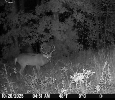 Nolin Lake Acreage For Sale in Bee Spring Kentucky