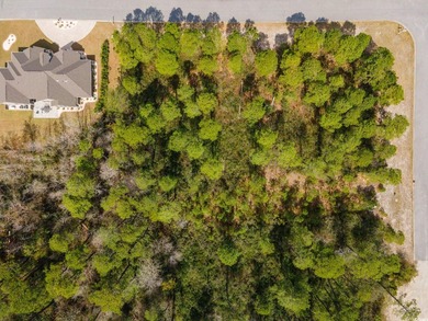 A magnificent wooded corner approximately 1/2 acre lot that is a - photo 13