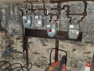 4 Family Brick Investment Property! New Gas Boiler, 3 Two - photo 14