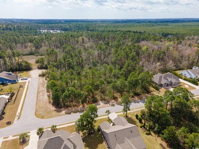 A magnificent wooded corner approximately 1/2 acre lot that is a - photo 15