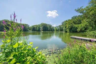 Step into this European-inspired lakefront masterpiece, built in - photo 39