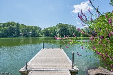 Step into this European-inspired lakefront masterpiece, built in - photo 40